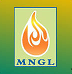 Maharashtra Natural Gas Limited